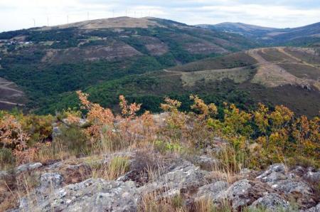 Imaxe: Mirador de Pedroselo