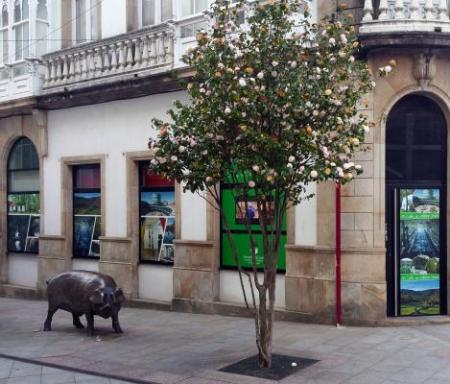 Imaxe: Monumento ó Porco