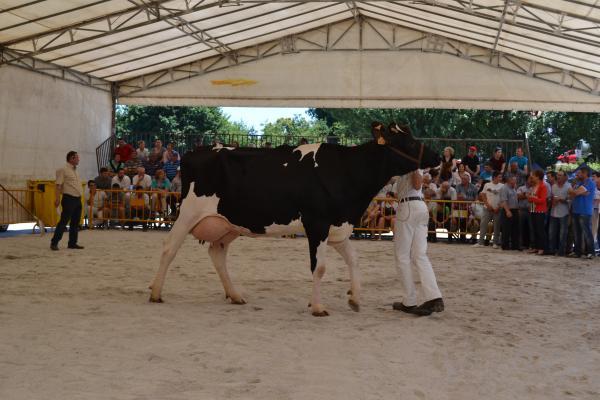 Imagen Feidareza