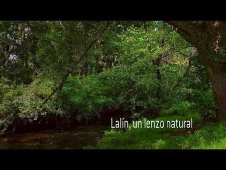 Imaxe: Lalín, un lenzo natural